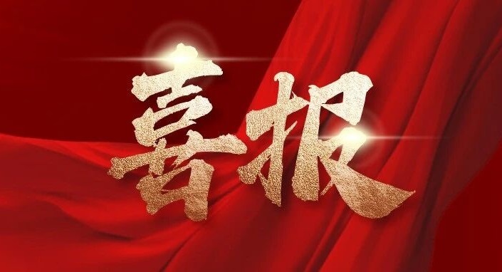 喜报！获评“经典案例”